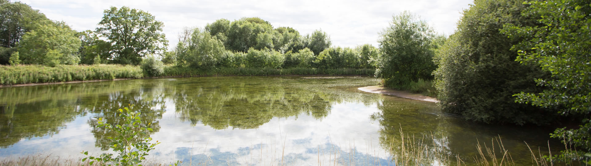 Norchard Farm Environmnet